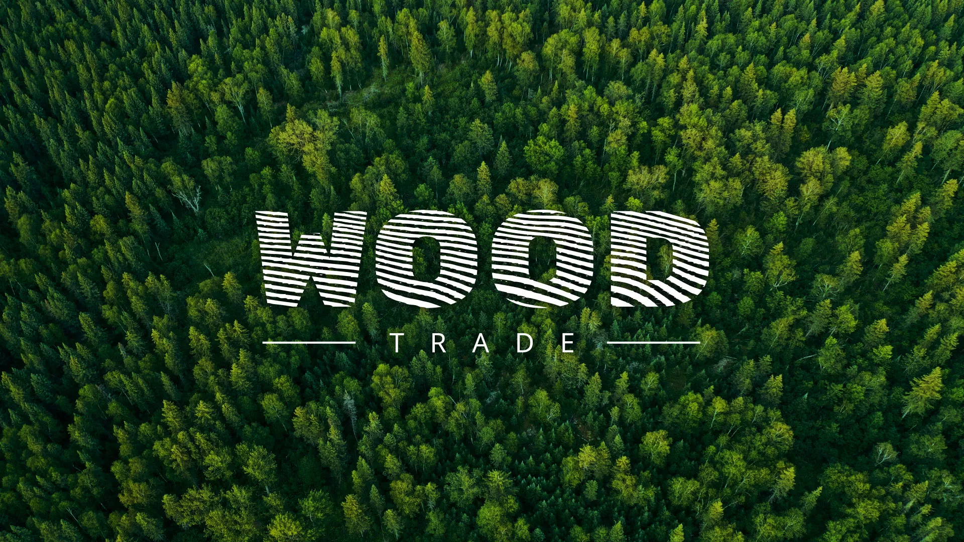Разработка интернет-магазина компании «Wood Trade» в Барыше